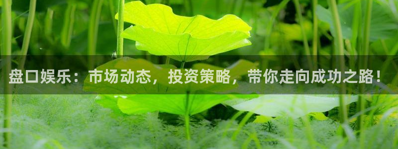 摩登7lite登录入口