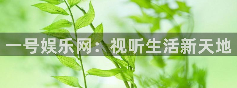 摩登7登录