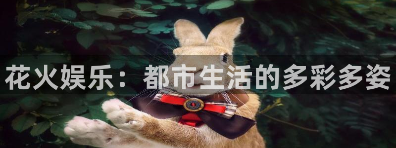 摩登7 lite注册